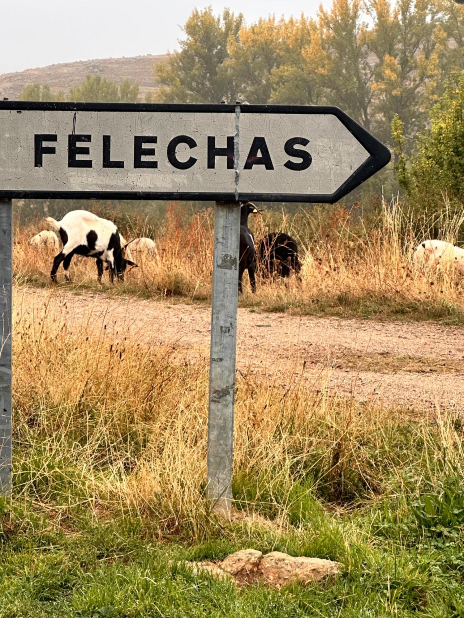 Los Tres Horreos Felechas Luaran gambar